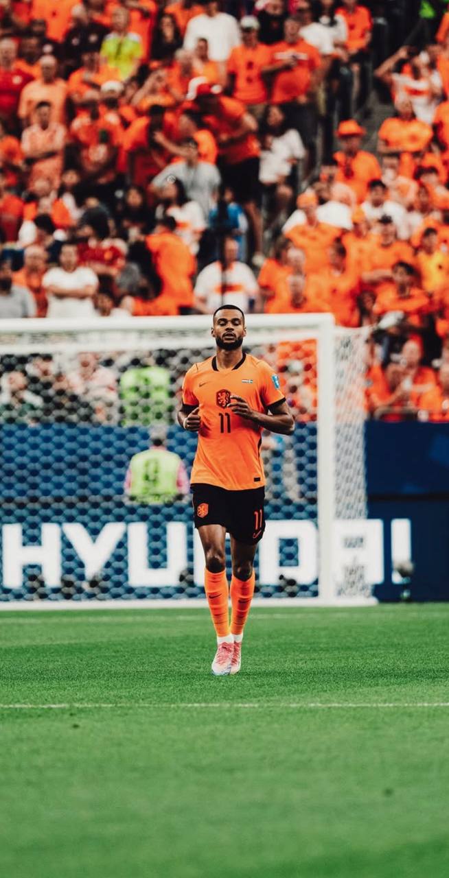foto de cody gakpo pela holanda