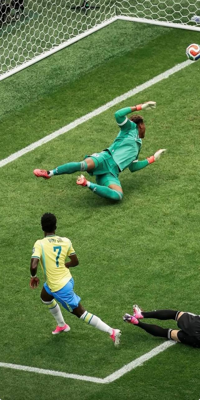 foto de vini jr pelo brasil