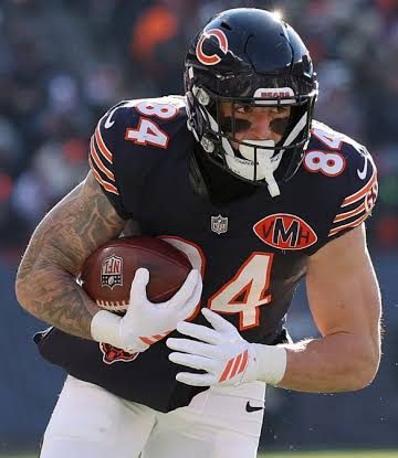 colston loveland chicago bears nfl