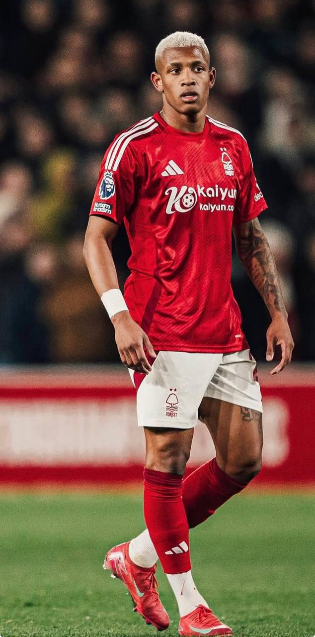 foto de danilo santos pelo forest